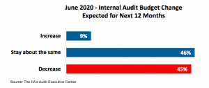 internal audit budgets to decline