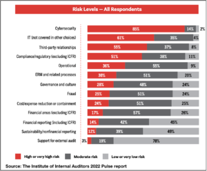 risk areas according to internal auditors