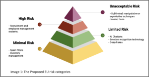 Proposed EU Risk Categories
