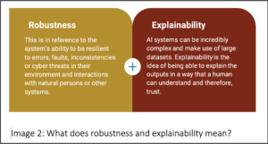 robustness and explainability